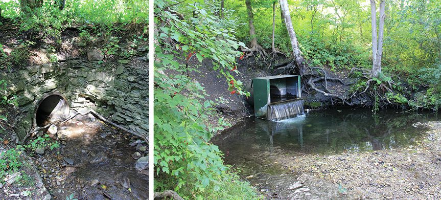 Tannery Creek Before Restoration