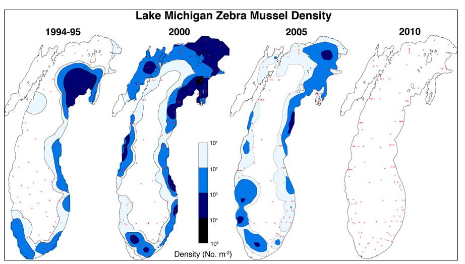 Lake Michigan Quagga Mussel Density
