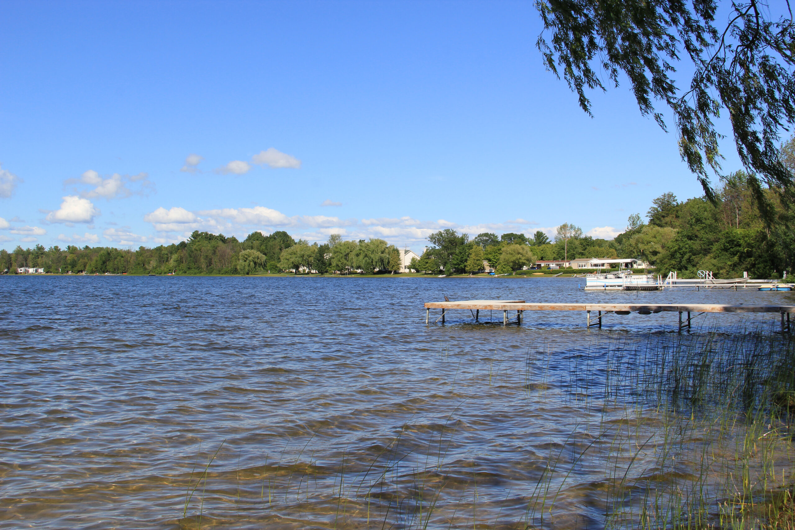 Bass Lake - Tip of the Mitt Watershed Council