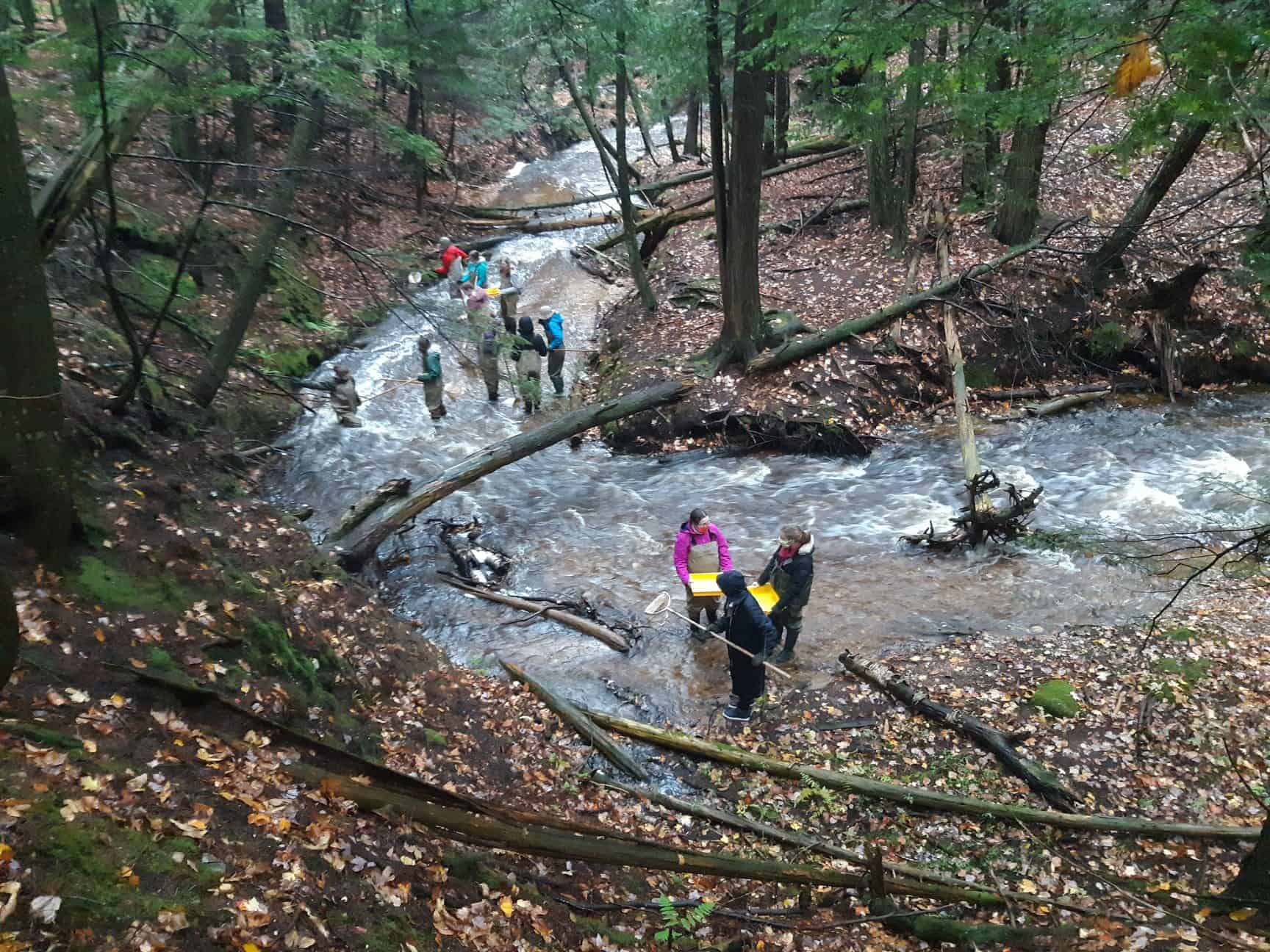 Welcome to the Tip of the Mitt Watershed Council - Tip of the Mitt ...