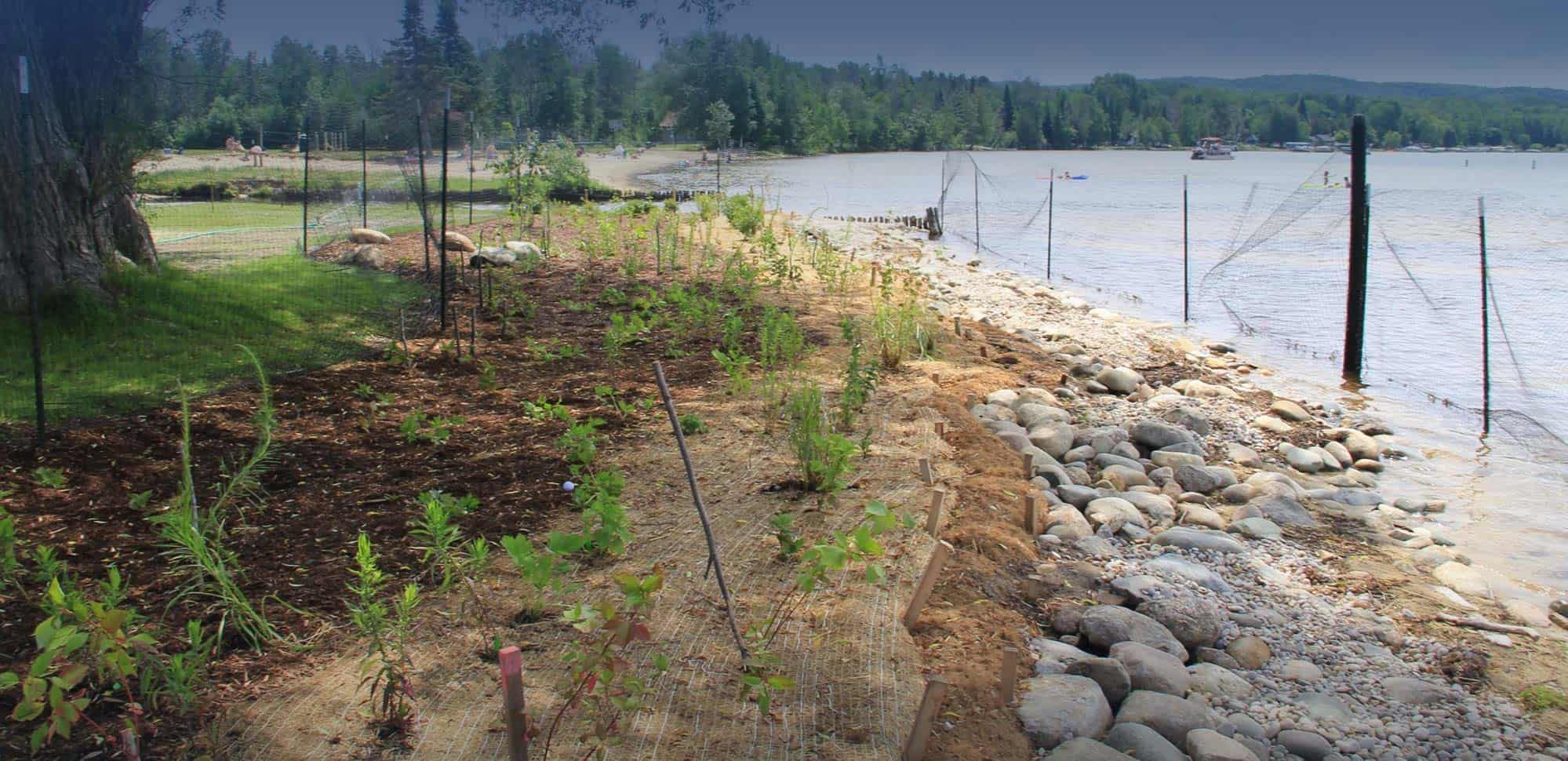 Students monitoring Michigan creek