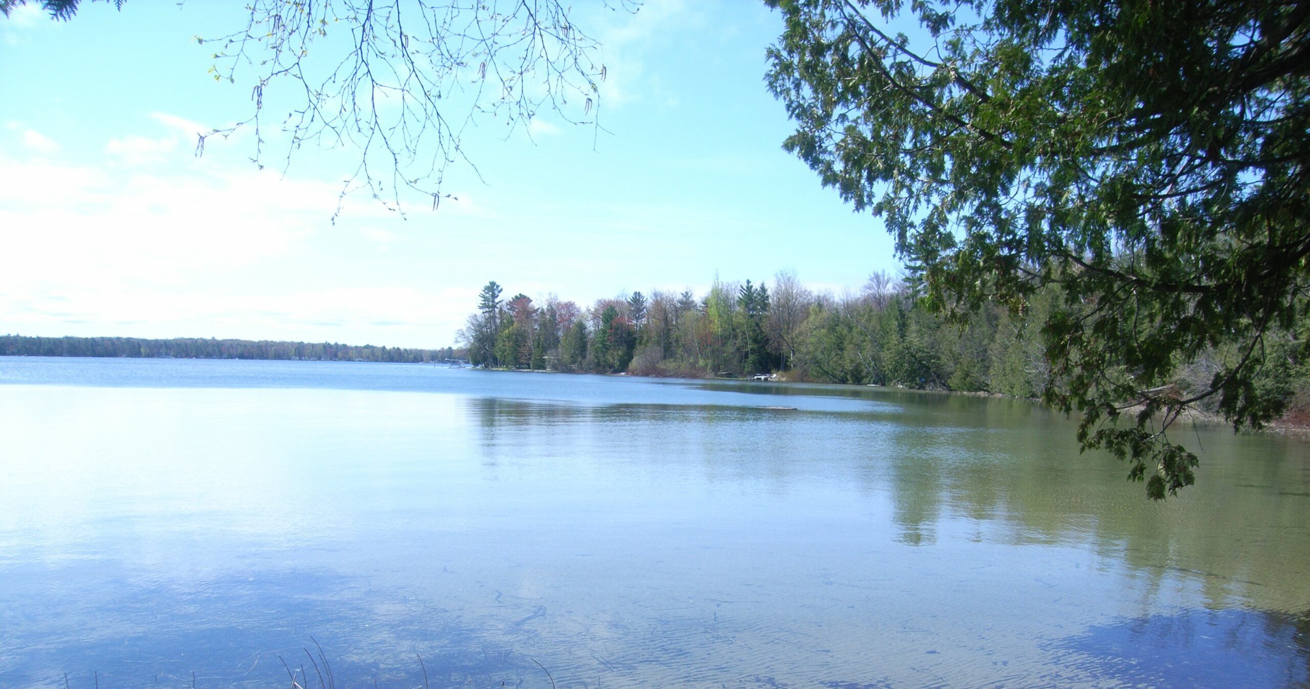 Birch Lake - Tip of the Mitt Watershed Council