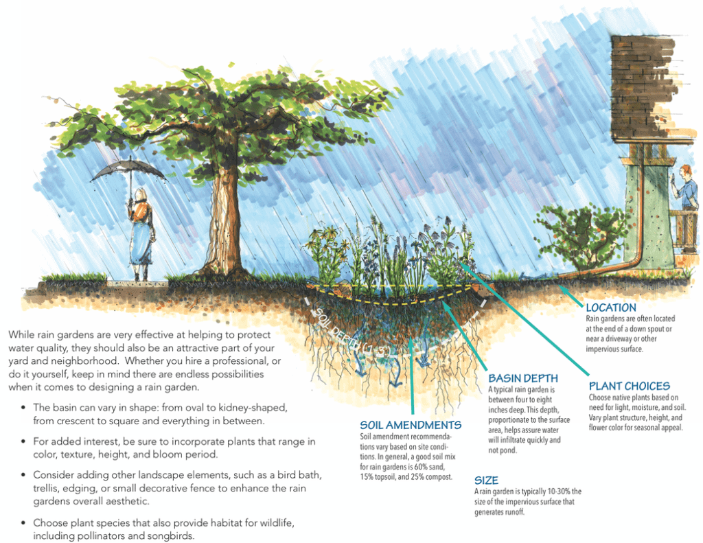 Rain Garden Construction Guide for Homeowners - Shediac Bay Watershed  Association