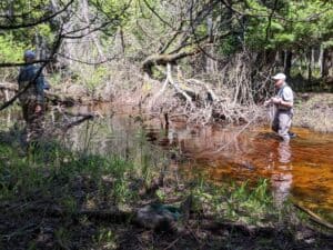 Volunteers monitor Bessey Creek.