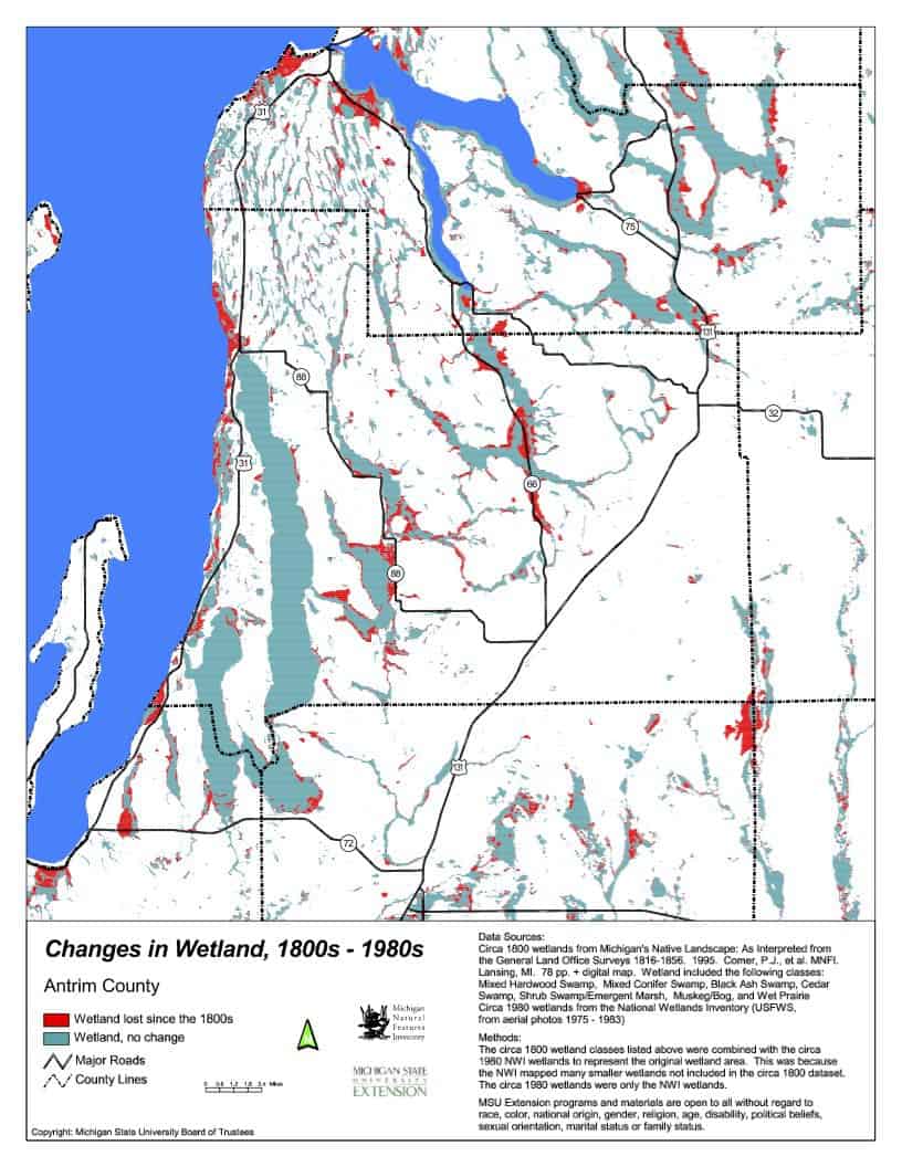 Antrim County Wetland Changes