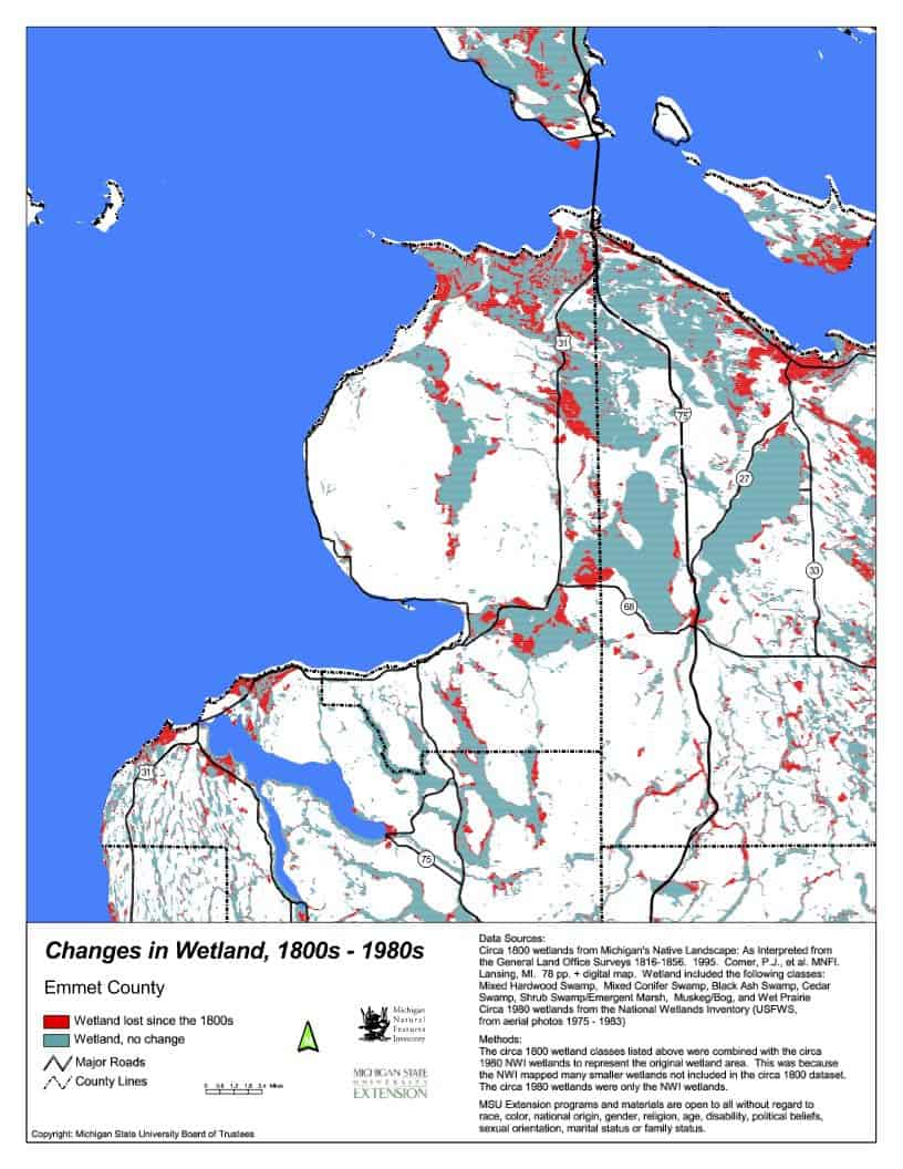 Emmet County Wetland Changes