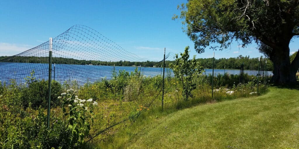 Greenbelt cost share program