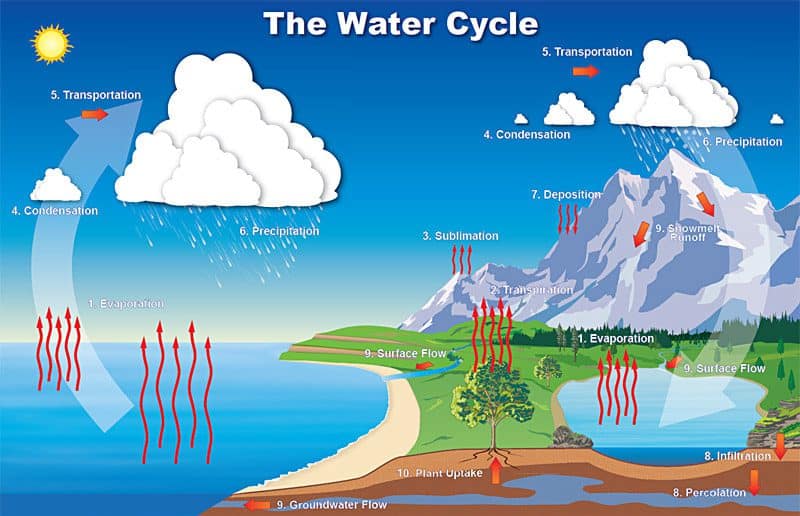 water cycle