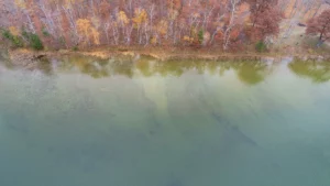 Lake Shoreline