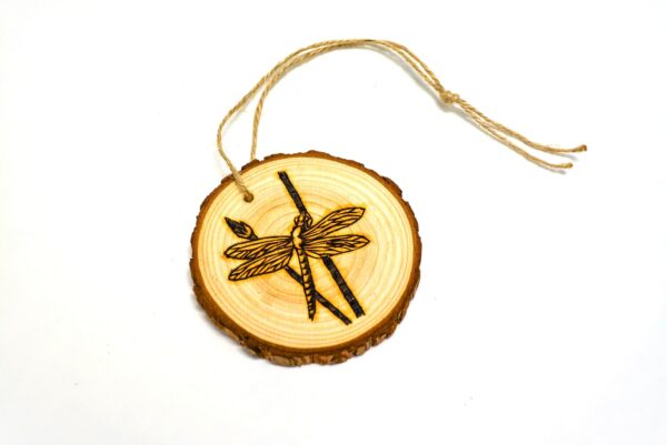 Dragonfly wood-burned ornament