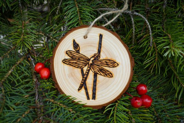 Wood-burned dragonfly ornament