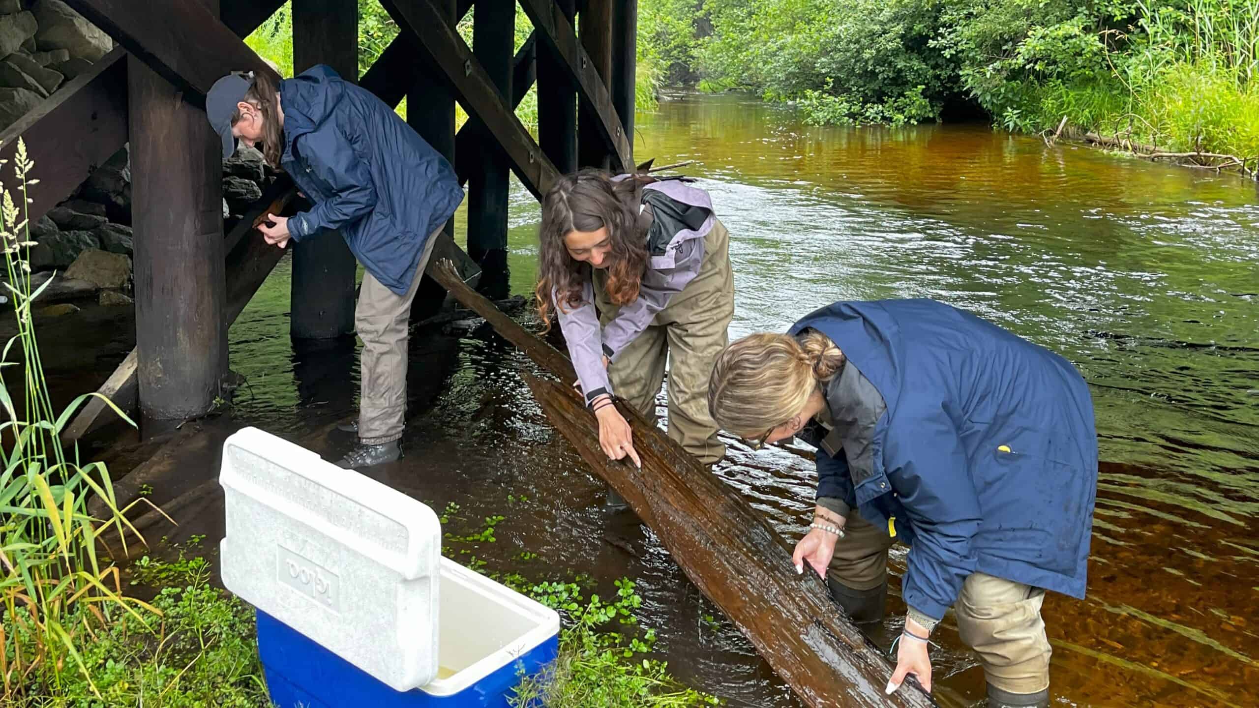 2025 Watershed Protection Internship Opportunity Tip of the Mitt