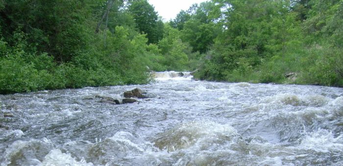 Bear River Petoskey