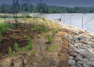 Shoreline Erosion Mangement